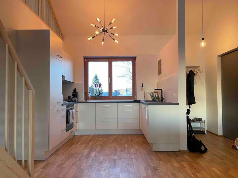 Gamsfels Josephine Galeriewohnung Langen Bei Bregenz Dış mekan fotoğraf